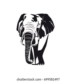Elephant, black and white image. Vector illustration