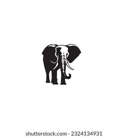 elephant black and white vector illustration 