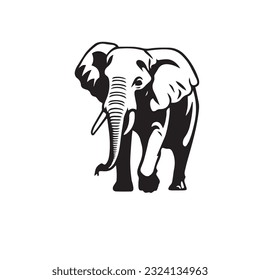 elephant black and white vector illustration 