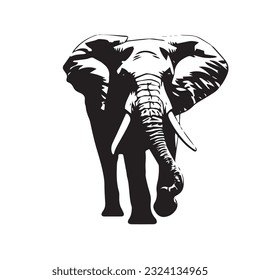 elephant black and white vector illustration 