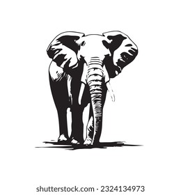 elephant black and white vector illustration 