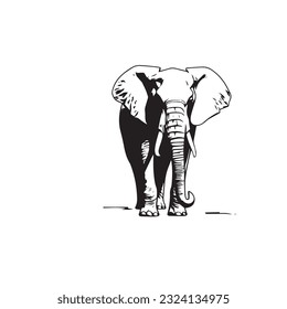 elephant black and white vector illustration 