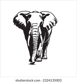 elephant black and white vector illustration 