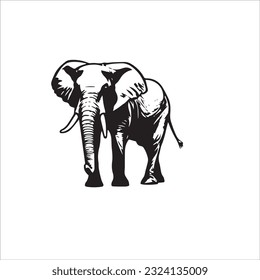 elephant black and white vector illustration 