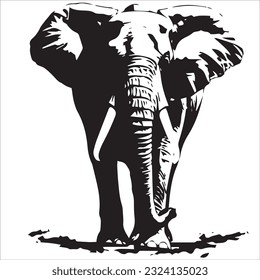 elephant black and white vector illustration 