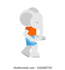 Elephant boy in clothes. Animal Baby Vector Illustration
