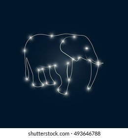 Elephant bright
