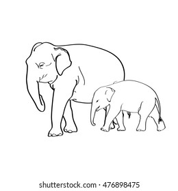 Elephant brush style, vector drawing free hand