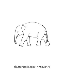Elephant brush style, vector drawing free hand