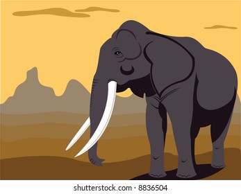 elephant bull