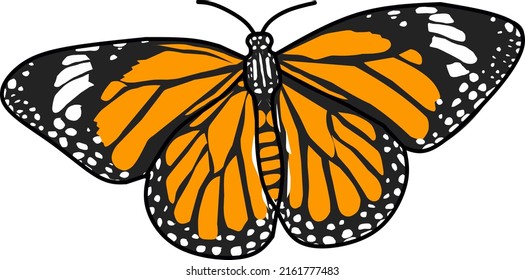 The elephant butterfly or Attacus atlas is a kind of large-bodied moth that is widely distributed in the tropics and subtropics of Southeast Asia. Banten, March 29, 2022.