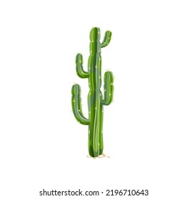 Elephant cactus, Mexican giant cardon isolated prickly cacti plant cartoon icon. Vector tropical succulent grown in desert, indians cacti with thorns, prickly succulent plant tall spiky tree svg