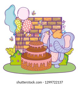 elephant with cake and balloons helium in the field