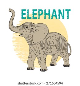 Elephant calf. Vector illustration, icon, element for design or a fashion print.
