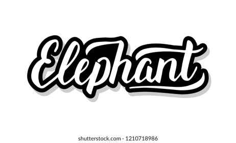 Elephant calligraphy template text for your design illustration concept. Handwritten lettering title vector words on white isolated
