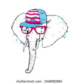 An elephant in a cap and glasses. Vector illustration. Wild animal, africa and safari.