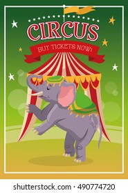 Elephant cartoon of circus 