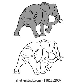 Elephant cartoon isolated on white. African bush or forest elephant and Asian elephant