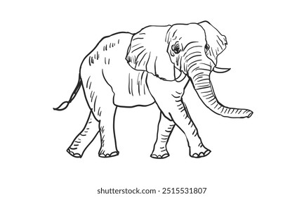 Elephant Character line art Vector Illustration.
