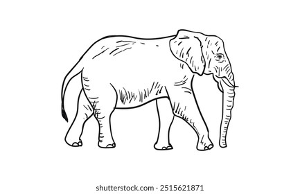 Elephant Character line art Vector Illustration.