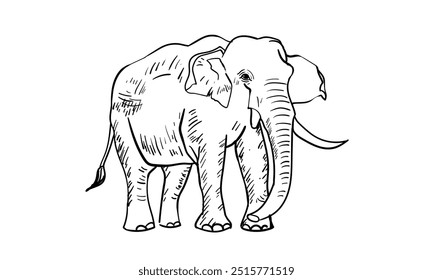 Elephant Character line art Vector Illustration.