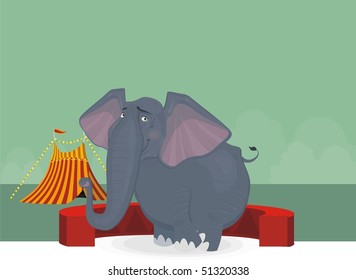 elephant and circus