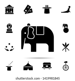 elephant circus icon. Universal set of circus for website design and development, app development