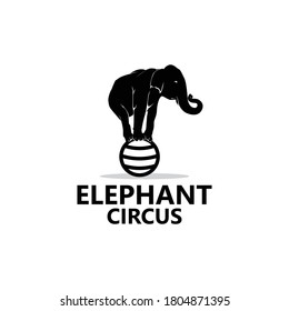 Elephant Circus Logo Template Design Vector