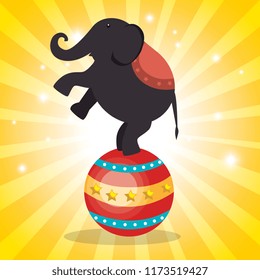 elephant circus show icons