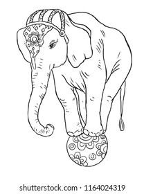 The elephant in the circus.coloring page for kids