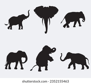 Elephant collection - vector silhouette