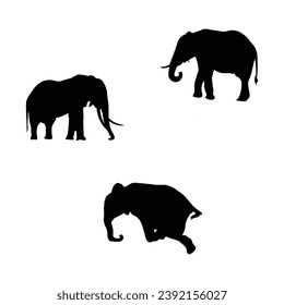 Elephant collection - vector silhouette