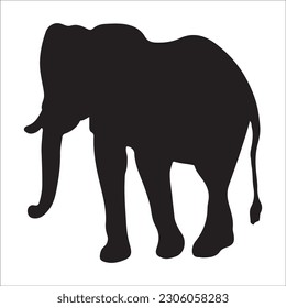 Elephant collection - vector silhouette. black image