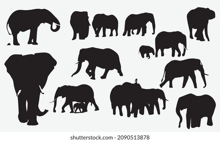 Elephant collection - vector silhouette. Set of editable vector silhouettes of African elephants in various poses . eps 10