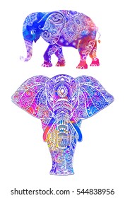 Elephant color illustration vector set. Watercolor. Print for clothing design