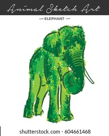 Elephant color sketch