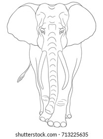 Elephant coloring book. Hand drawn animal illustration isolated on white.