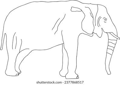 Elephant coloring page for all ages