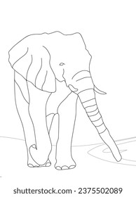 Elephant Coloring page with background