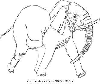 Elephant Coloring Pages With Line Art Design Hand Drawing Sketch Vector illustration For Adult And Kids Coloring Book