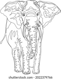 Elephant Coloring Pages With Line Art Design Hand Drawing Sketch Vector illustration For Adult And Kids Coloring Book