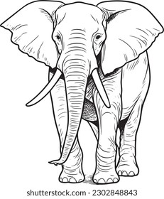 A Elephant, a colouring book for kids, easy to colour, vector illustration, Vector, Annimals