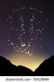 Elephant constellation vector illustration. Elephant in constellations and star on mountain forest landscape. Starry elephant in deep dark sky with line and shiny dots