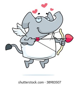 Elephant Cupid