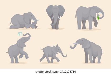 Elephant. Cute african wild animals large strong savannah elephants in various poses exact vector illustrations