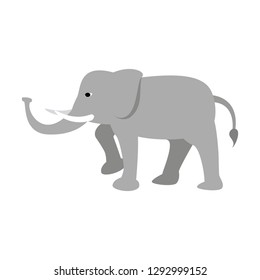 Elephant cute animal