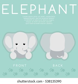 Elephant : Cute Animal : Vector Illustration