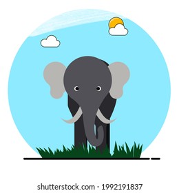 elephant design in flat style with daytime background