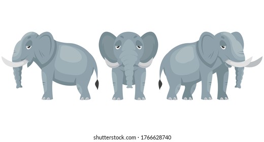 Elephant in different poses. African animal in cartoon style.