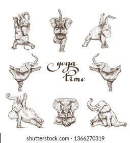 Elephant doing yoga exercises set of different poses a symbol of strength and health vector.